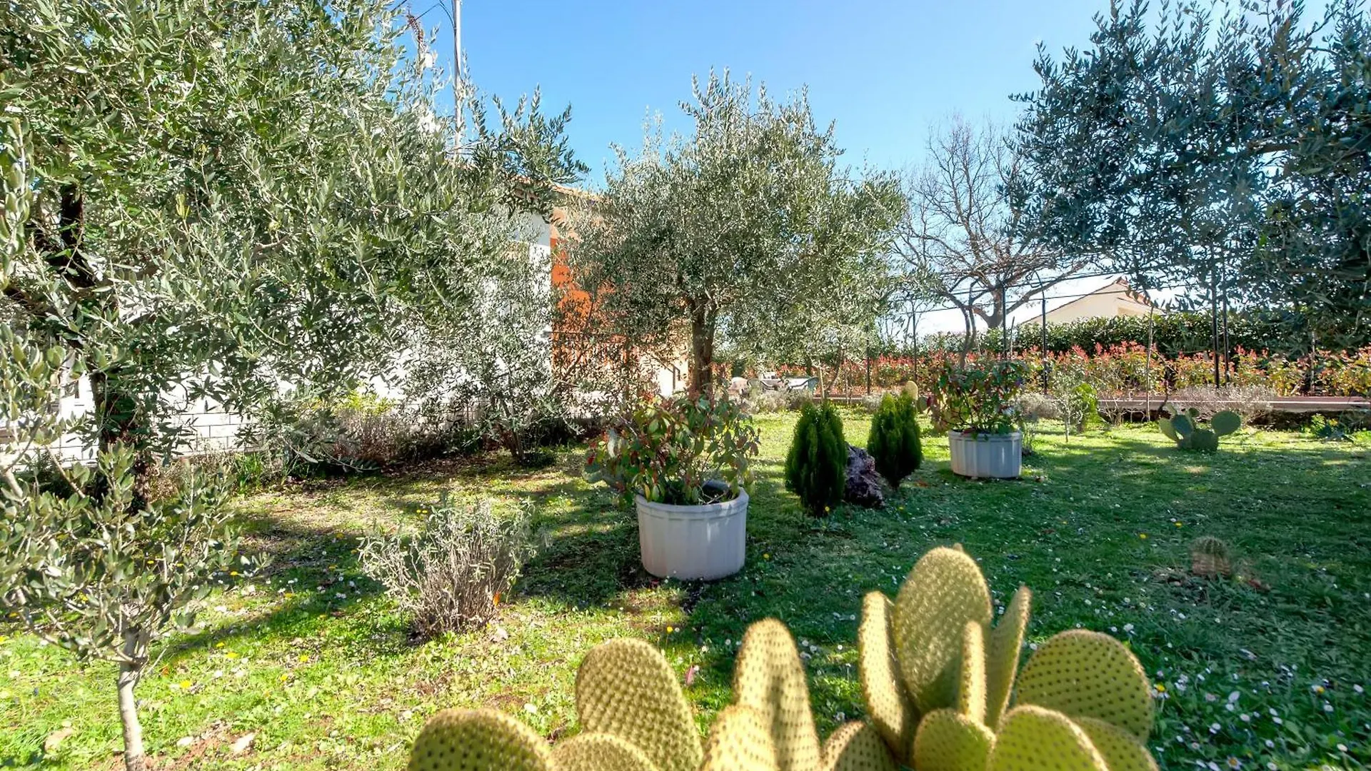 Vacation House Ana Croatia